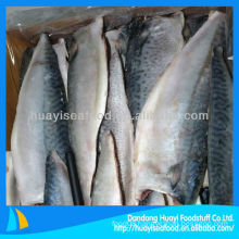 fresh frozen new pacific mackerel fillet